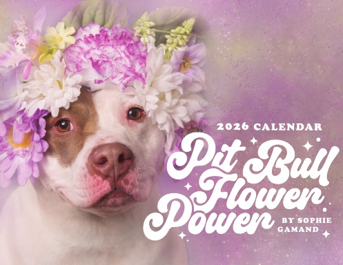 Pit Bull Flower Power 2026 Calendar