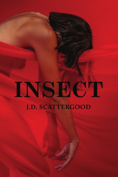 Insect