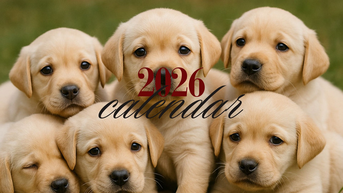 Calendario Animali