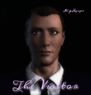 The Visitor
