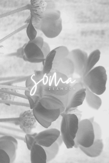 SOMA