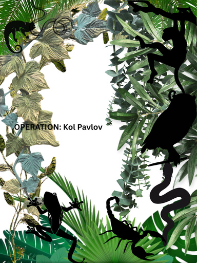 OPERATION: Kol Pavlov