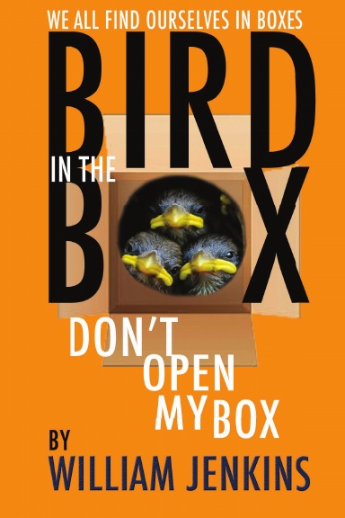 BIRD IN THE BOX