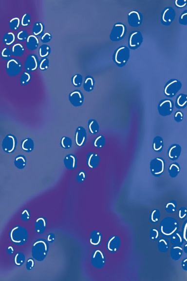 Blueberry Notebook