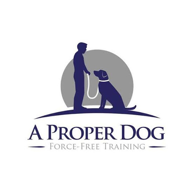 Proper Dog Training