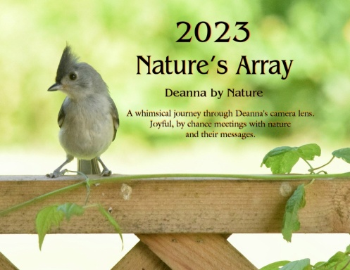 2023 Nature's Array
