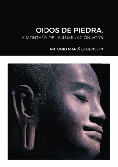 OIDOS DE PIEDRA.
