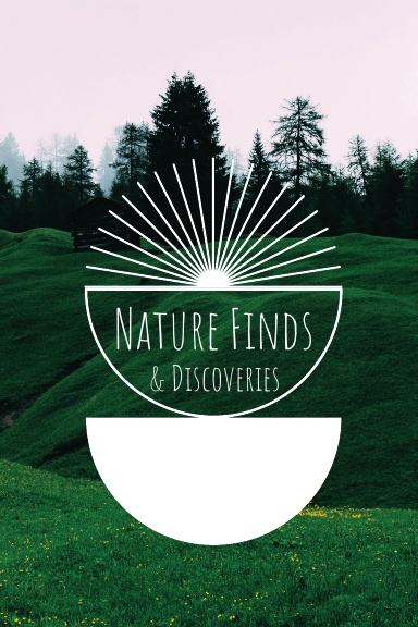 Nature Finds and Discoveries