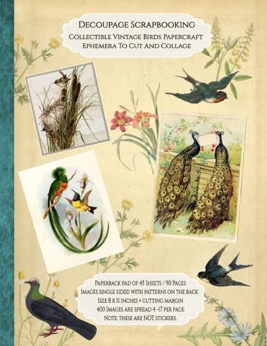 Decoupage Scrapbooking Collectible Vintage Birds Papercraft Ephemera To Cut And Collage