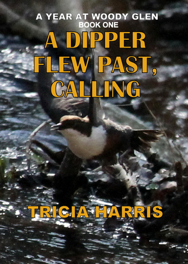 A dipper flew past, calling