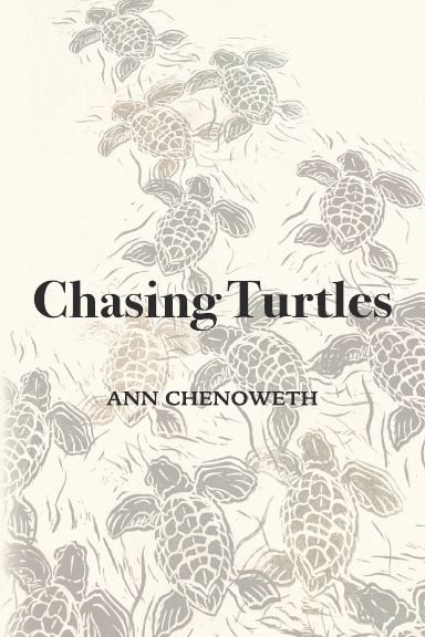 Chasing Turtles