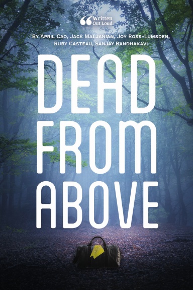 Dead From Above