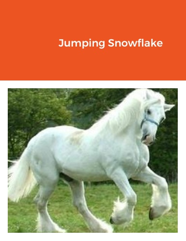 Jumping Snowflake