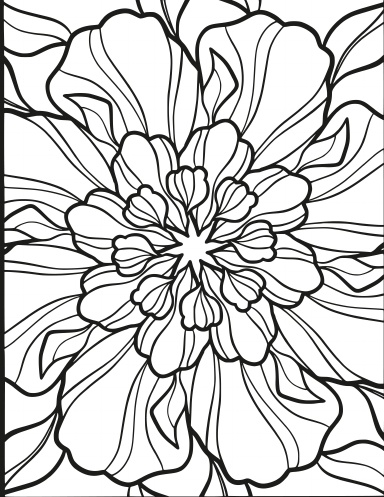 Adult coloring book