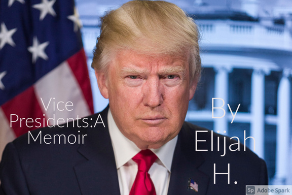 Vice Presidents:A Memoir