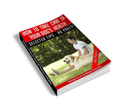 How To take care of Your Dog Health