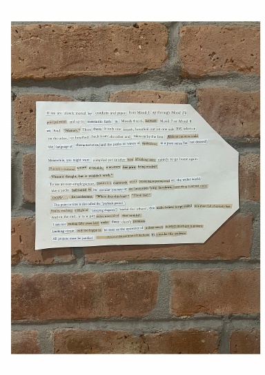 Human Light System