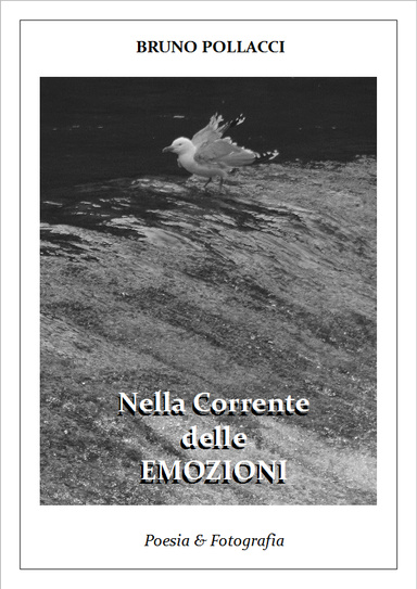 NELLA CORRENTE DELLE EMOZIONI