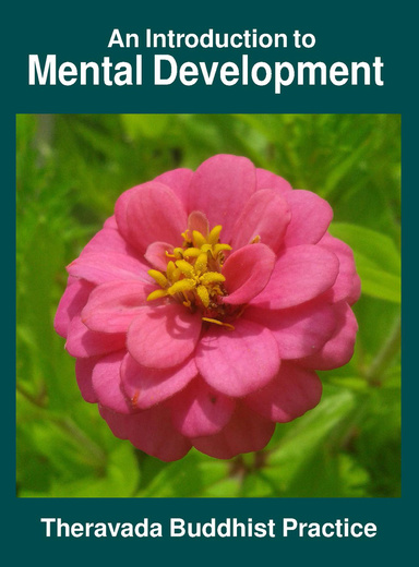 An Introduction to Mental Development