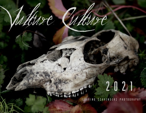 Vulture Culture 2021