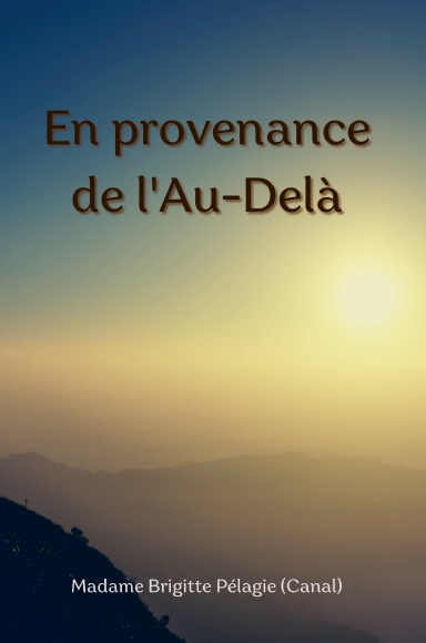 EN PROVENANCE DE L'AU-DELÀ (ebook)
