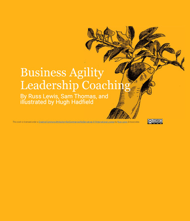 Business Agility Leadership Coaching