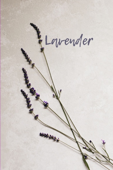 Lavender Grid Notebook