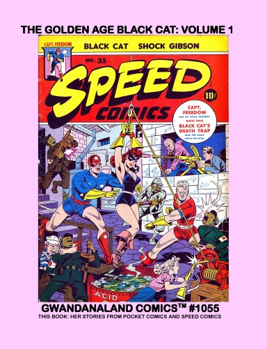 The Golden Age Black Cat: Volume 1