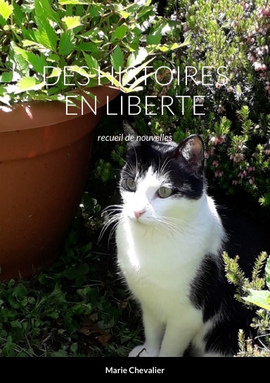 DES HISTOIRES EN LIBERTE