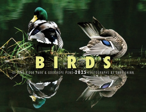 BIRDS 2025