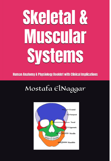 Skeletal & Muscular Systems
