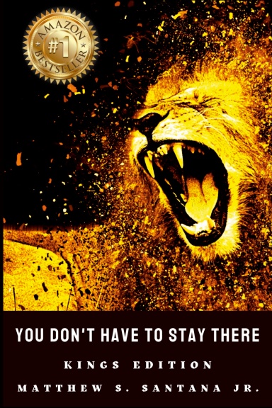 You Don’t Have to Stay There - Matthew S. Santana Jr.
