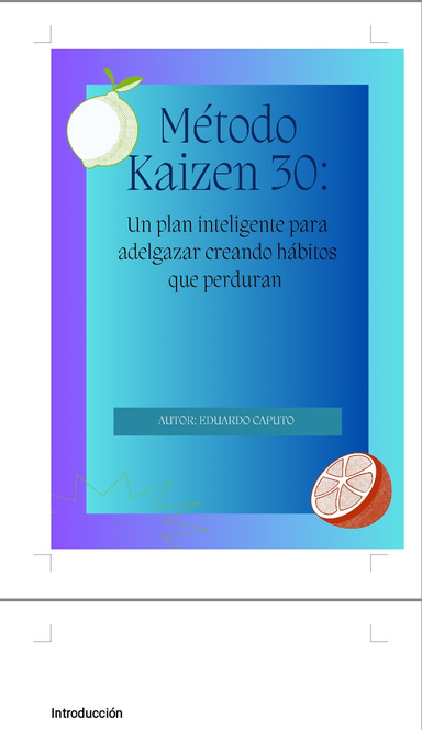 Método KAIZEN 30