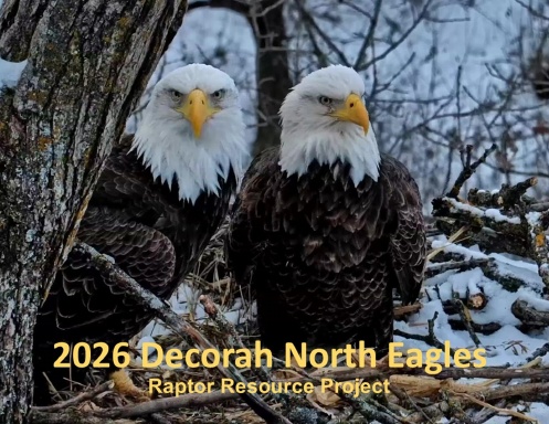2026 Decorah North Eagles