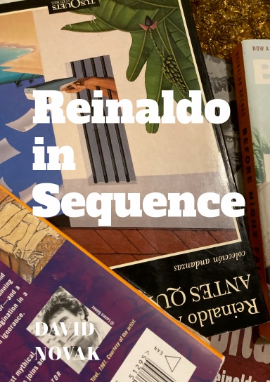 Reinaldo in Sequence