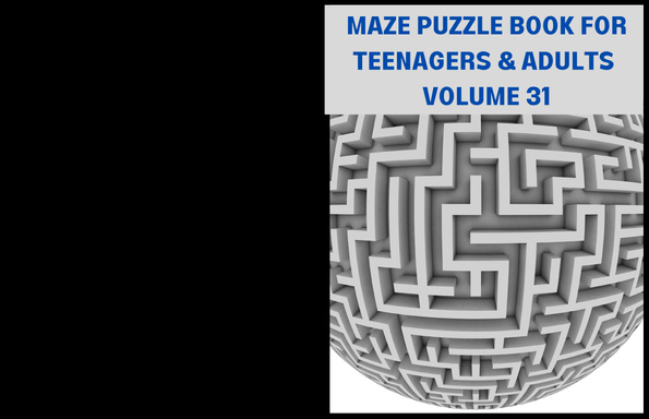 MAZE PUZZLE BOOK FOR TEENAGERS AND ADULTS  VOLUME 31