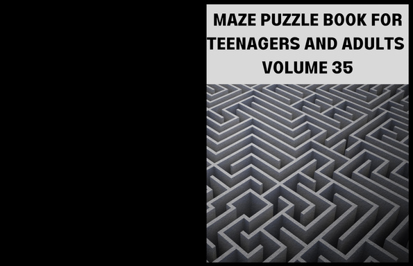 MAZE PUZZLE BOOK FOR TEENAGERS AND ADULTS  VOLUME 35