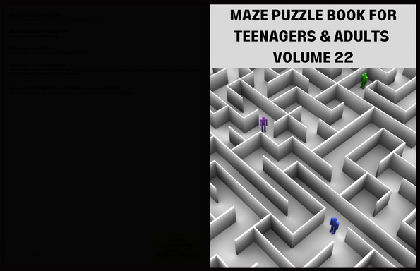 MAZE PUZZLE BOOK FOR TEENAGERS AND ADULTS  VOLUME 22