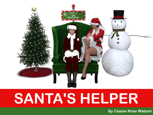 Santa's Helper