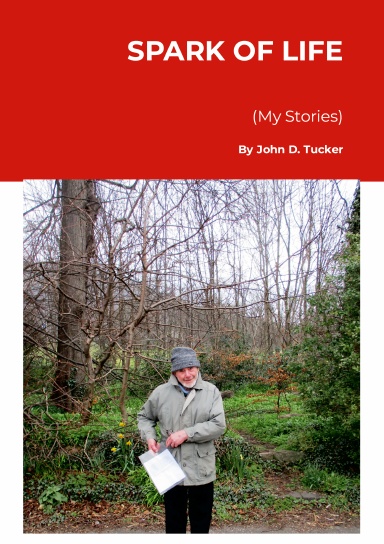 Spark of Life (My Stories)