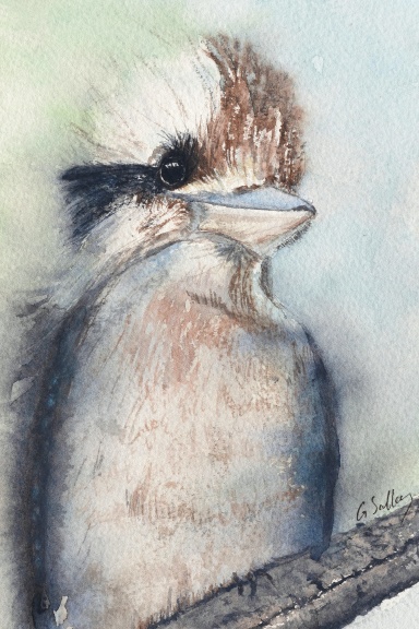 "Kookaburra" Notebook