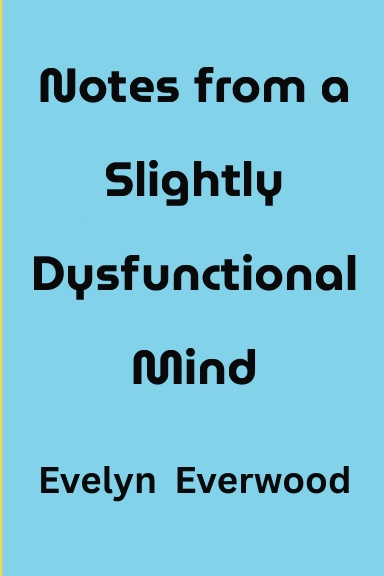 Notes from a Slightly Dysfunctional Mind