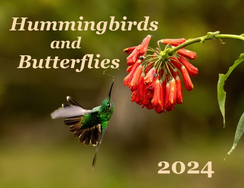 2024 Calendar Hummingbirds And Butterflies   Jee9j27 Front Shortedge 384 