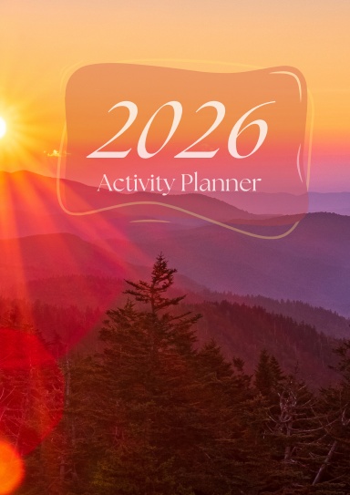 2026 Activity Professional Planner