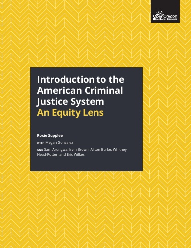 Introduction to the American Criminal Justice System: An Equity Lens