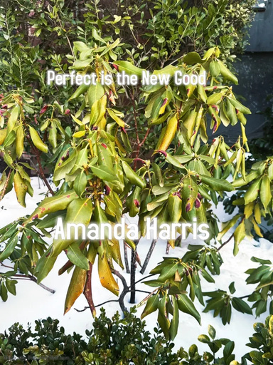 Perfect is the New Good