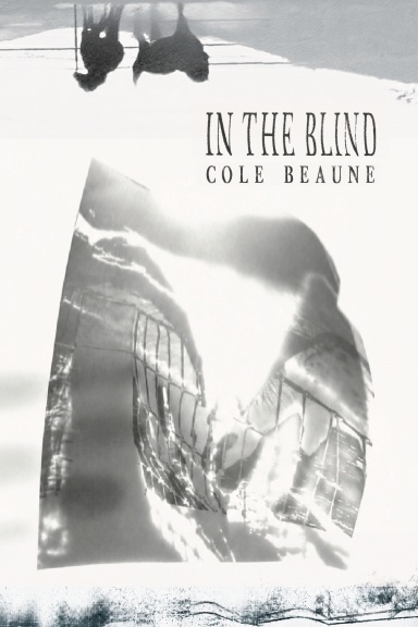 IN THE BLIND