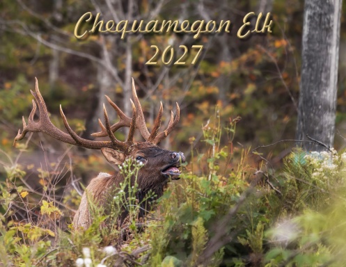 Chequamegon Elk 2027