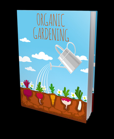 The 10 Medicinal Plants You'll Have in Your Backyard: