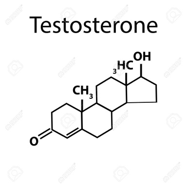 Guia para Aumentar la Testosterona